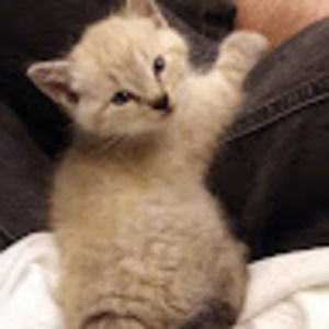 Meet your Posher, Jayde